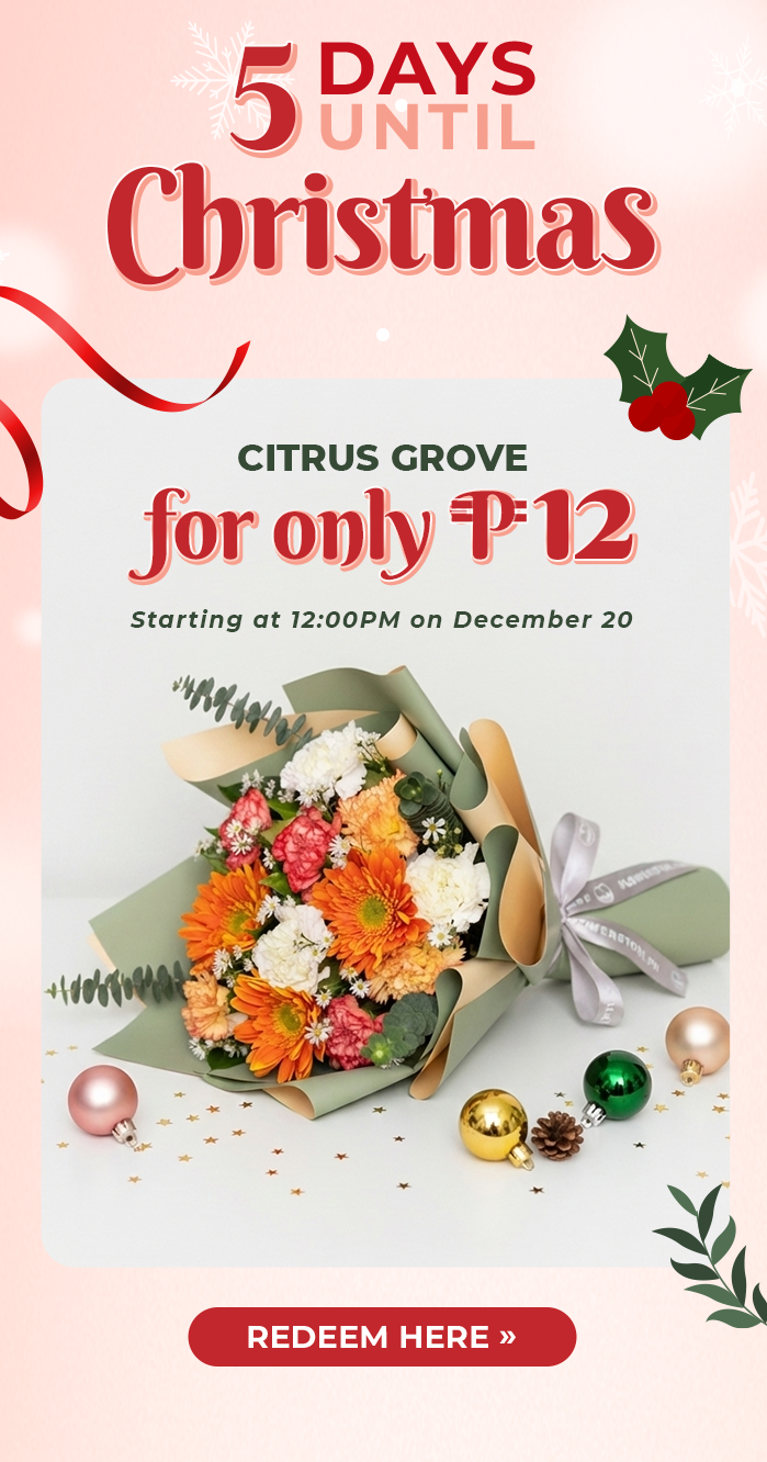 FS-20251219-MegaPamasko-NL_07