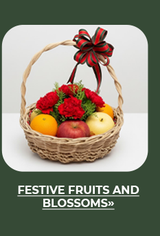 FS-20251220-MegaPamasko-NL_10