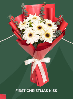 FS-20251223-MegaPamasko-NL_11