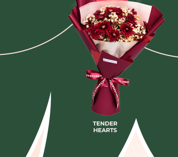 FS-20251223-MegaPamasko-NL_13