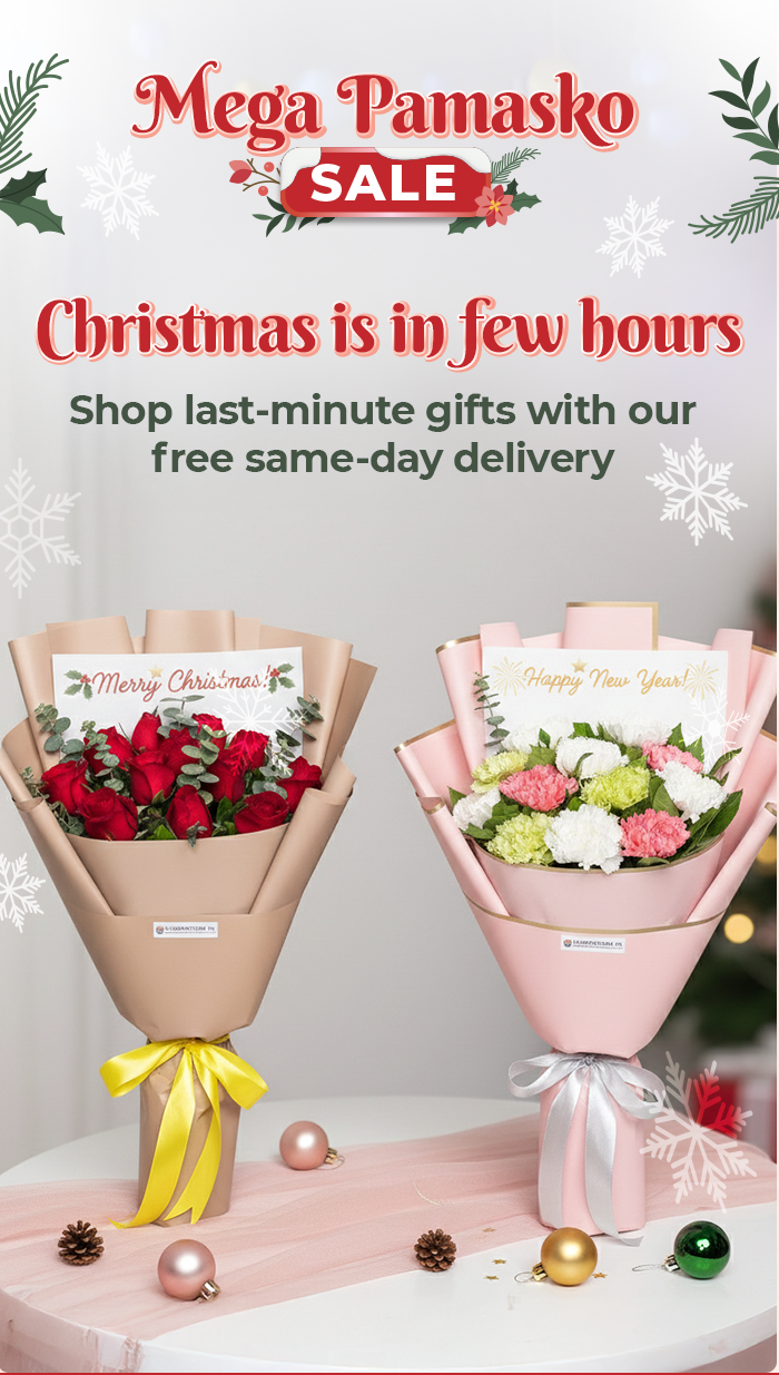 FS-20251224-MegaPamasko-NL_06_d76e2854