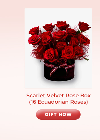 FS-20260123-VD26-Pre-Order-NL_12