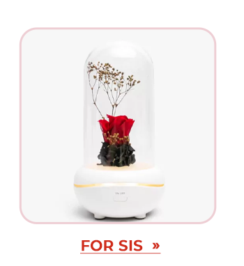 FS-20260203-VD26-SUB_10