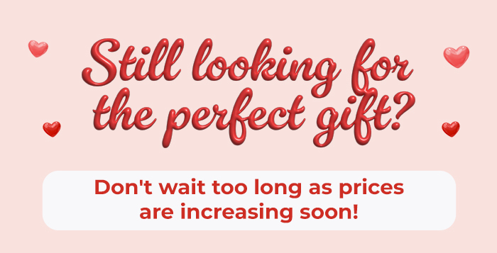 FS-20260206-VD26-NL-Sub_09