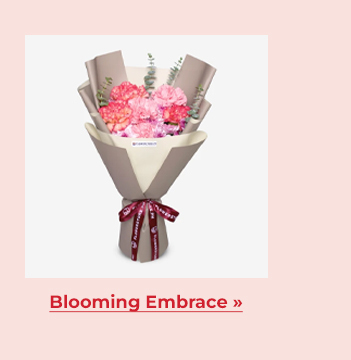 FS-20260206-VD26-NL-Sub_13