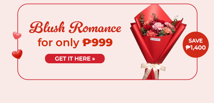 FS-20260207-VD26-NL_13