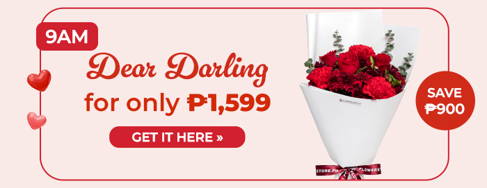 FS-20260208-VD26-NL_11