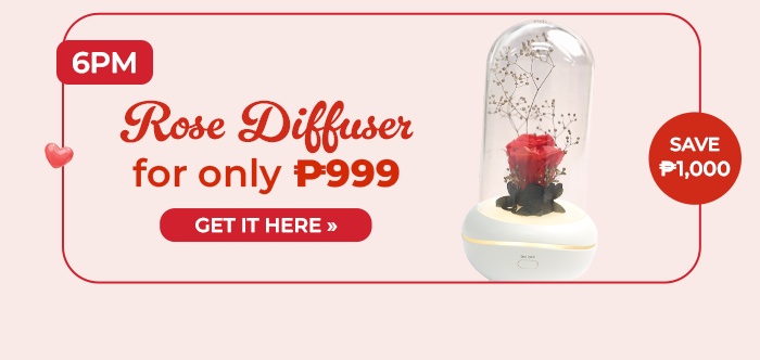 FS-20260208-VD26-NL_12