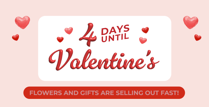 FS-20260210-VD26-NL_03