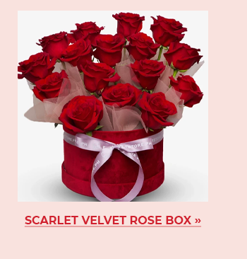 FS-20260210-VD26-NL_08_0f2c5958