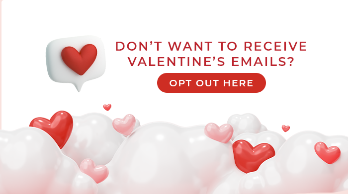 FS-20260210-VD26-NL_11