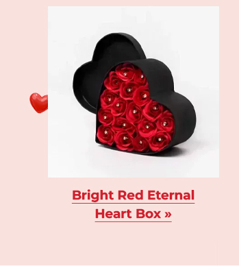 FS-20260211-VD26-NL_13