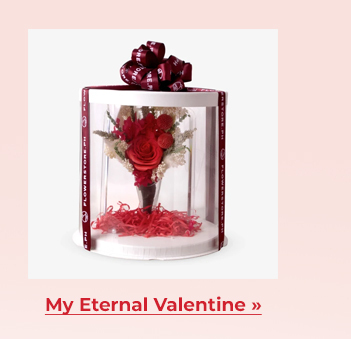 FS-20260212-VD26-NL_12