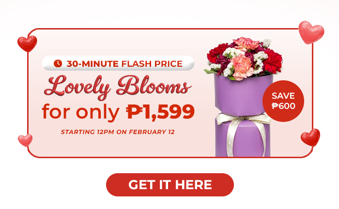 FS-20260212-VD26-NL_14