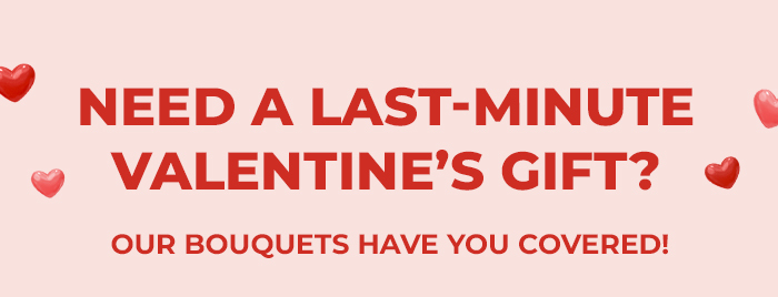 FS-20260213-VD26-NL_09