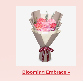 FS-20260213-VD26-NL_10