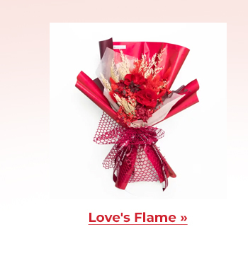 FS-20260213-VD26-NL_12