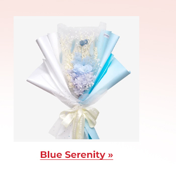 FS-20260213-VD26-NL_13