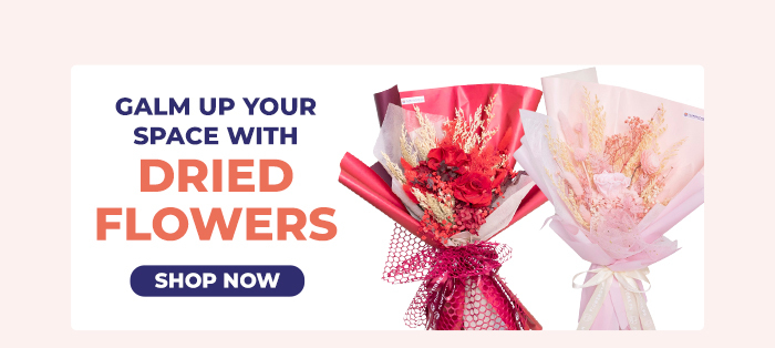 FS-20260221-Always-On-NL_12