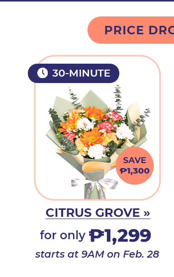 FS-20260228-PaydaySale-NL_07