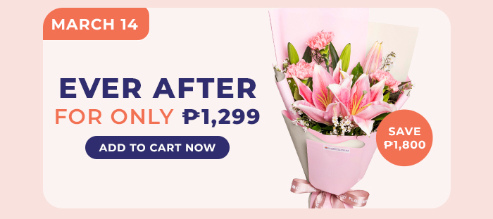 FS-20260312-Payday-Sale-NL_09