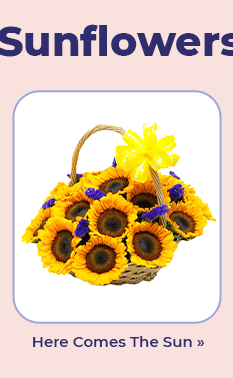 FS-20260321-NL-25_12