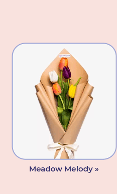 FS-20260321-NL-25_15