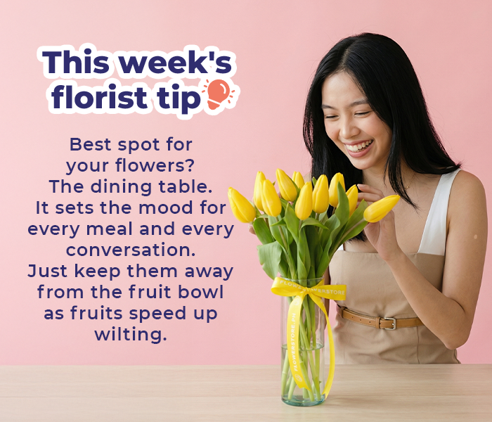 FS-20260331-PaydaySale-NL_11