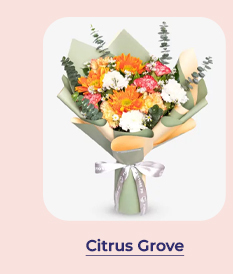 FS-20260401-Payday-Sale-NL_11