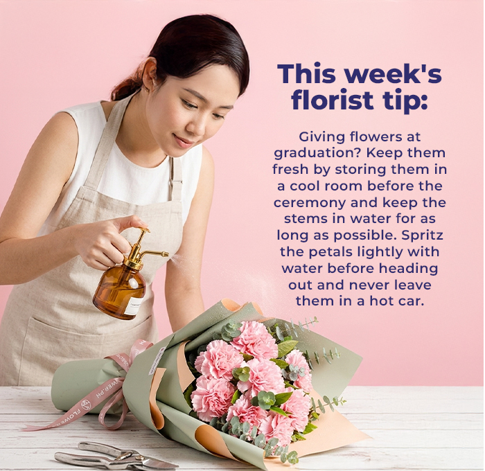 FS-20260407-NL_06_ba32976f