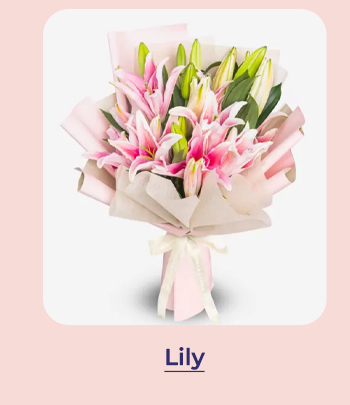 FS-20260416-Payday-Sale-NL_20