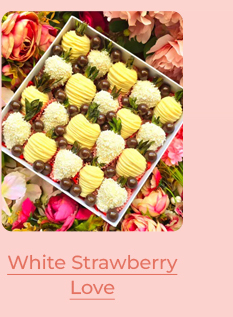 FS-20260421-MD25-NL_21_e240a90e