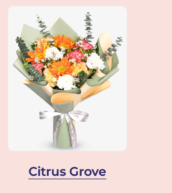 FS-20260422-MD25-NL_14