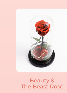 FS-20260425-MD26-NL_13