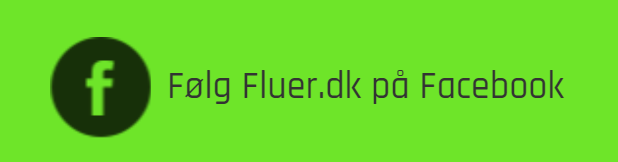 fluer-facebook