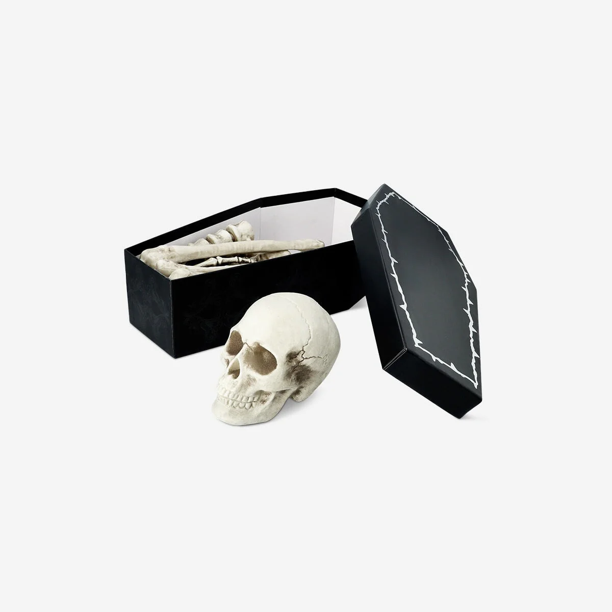 Skeleton bone set