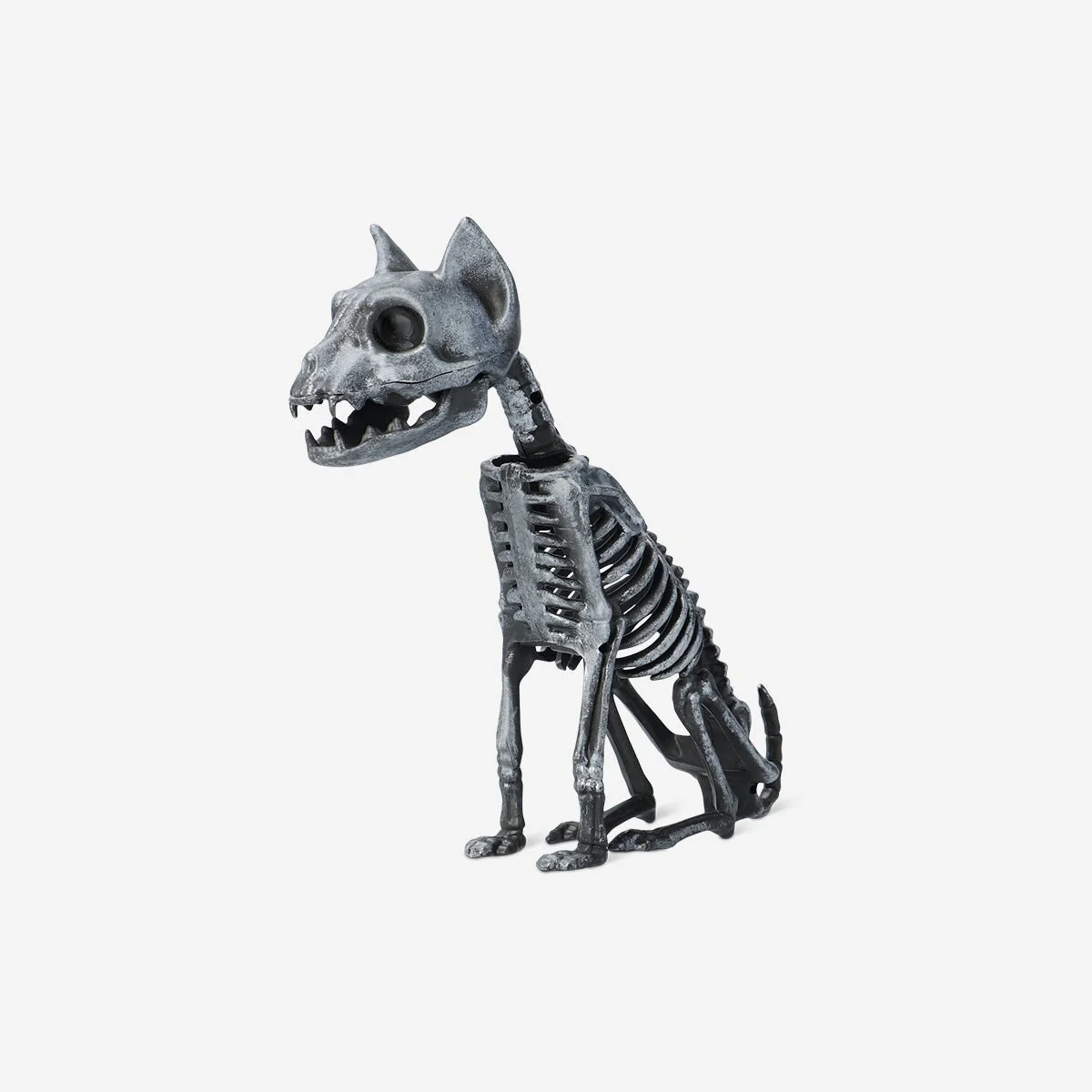 Skeleton cat