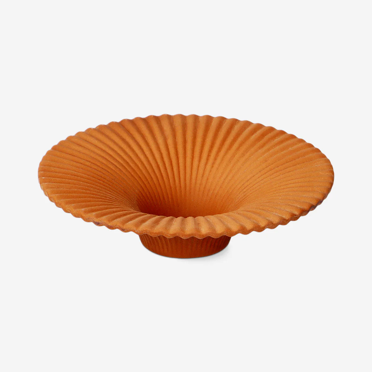 Terracotta avocado grower - 11 cm