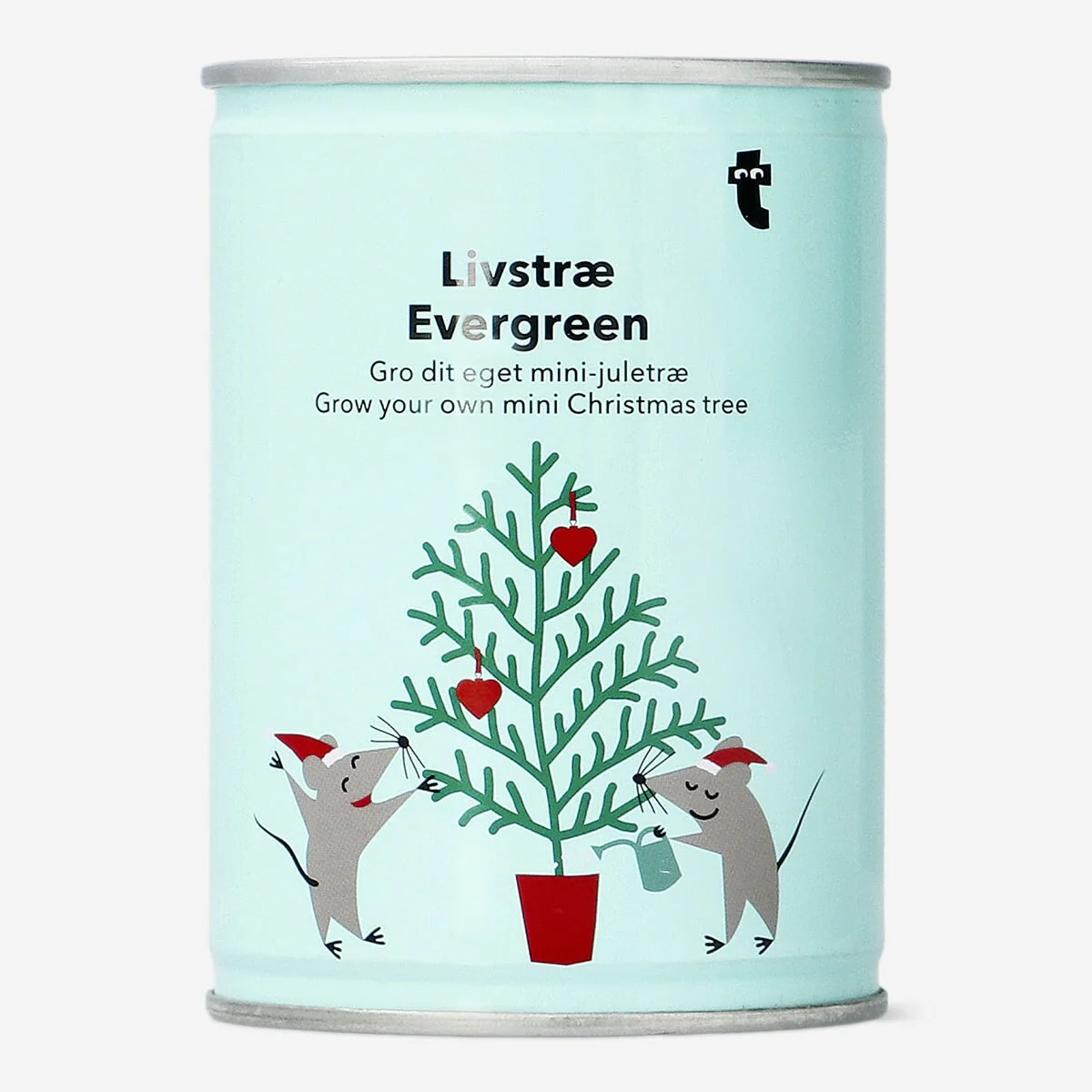 Grow your own Christmas tree