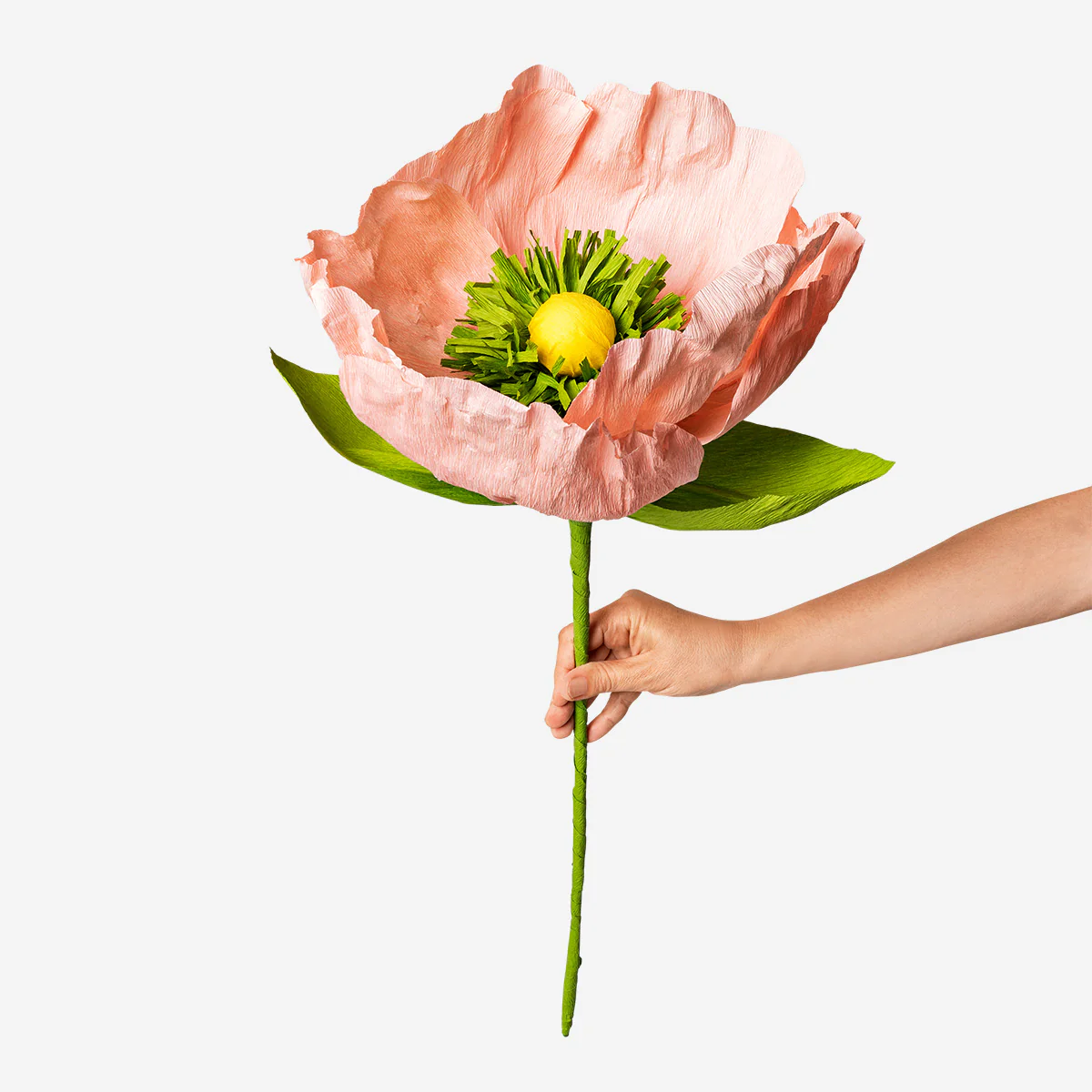 DIY giant paper flower