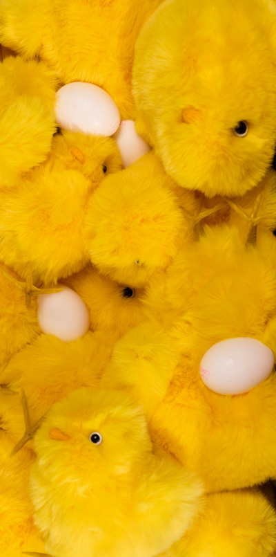 Decorative furry chick - 19 cm