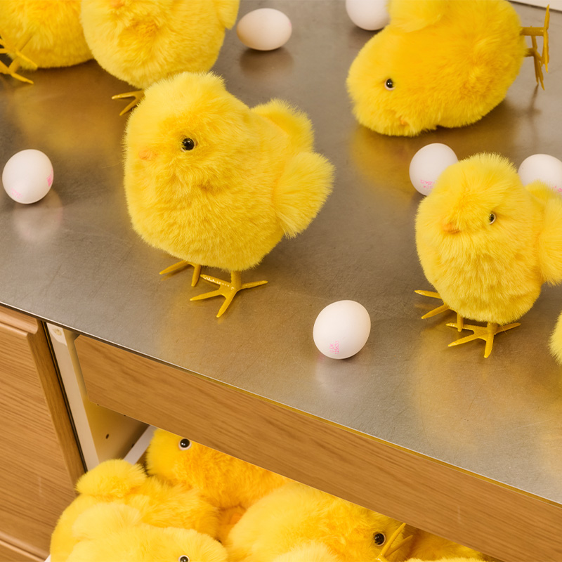 Yellow chicken teddy