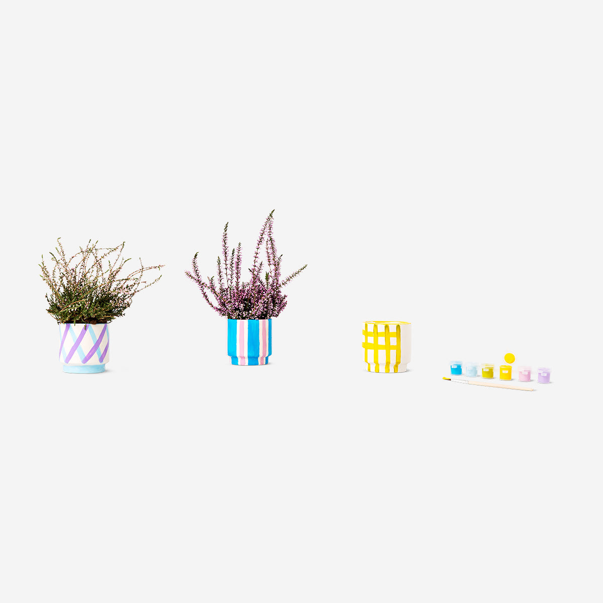 Image of DIY flowerpots