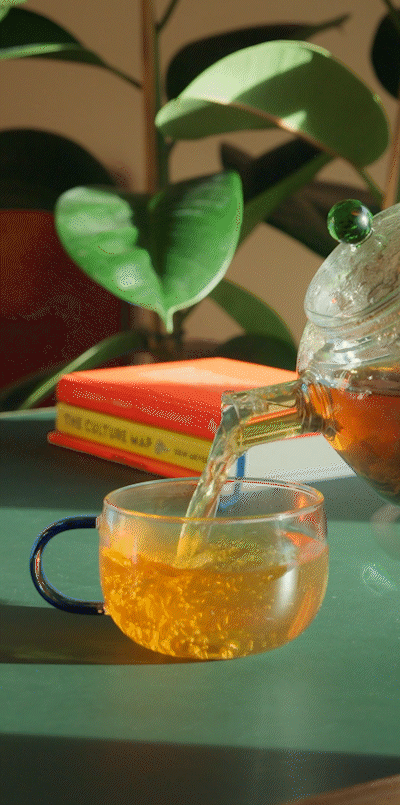 Designer Collection - Glass teapot