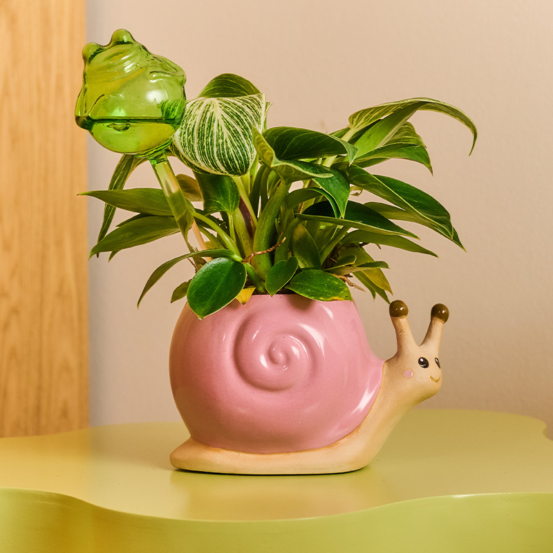 Frog self watering spike