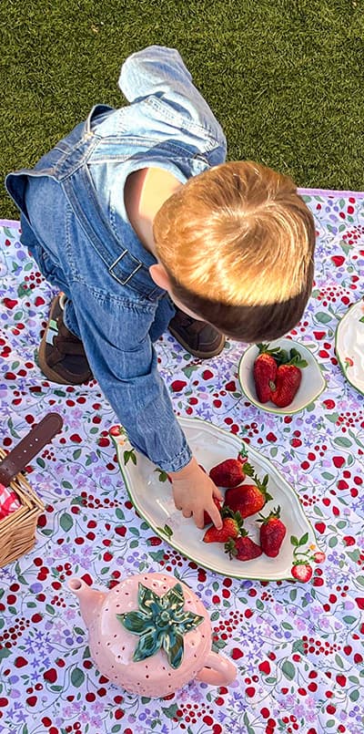 Quilted blanket with strawberry print