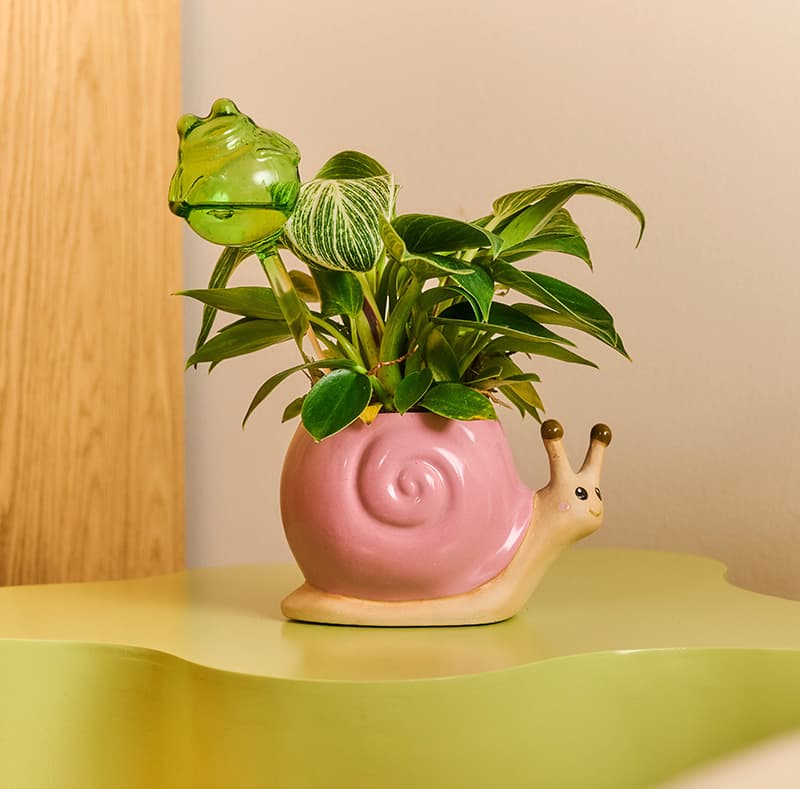 Frog self watering spike