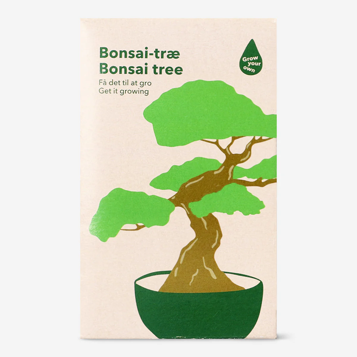 DIY bonsai tree growing kit