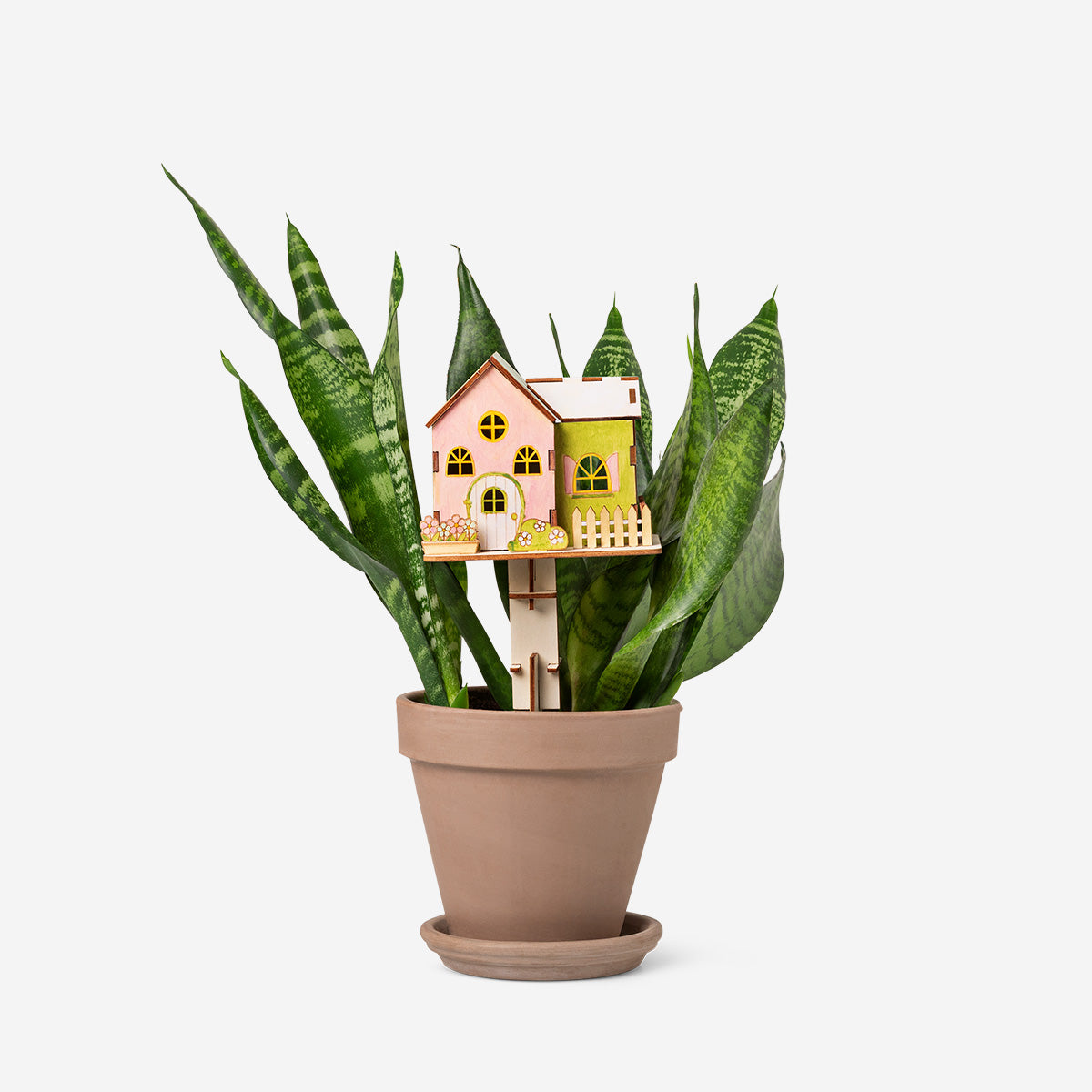 Image of DIY wooden house with paint