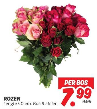 Rozen